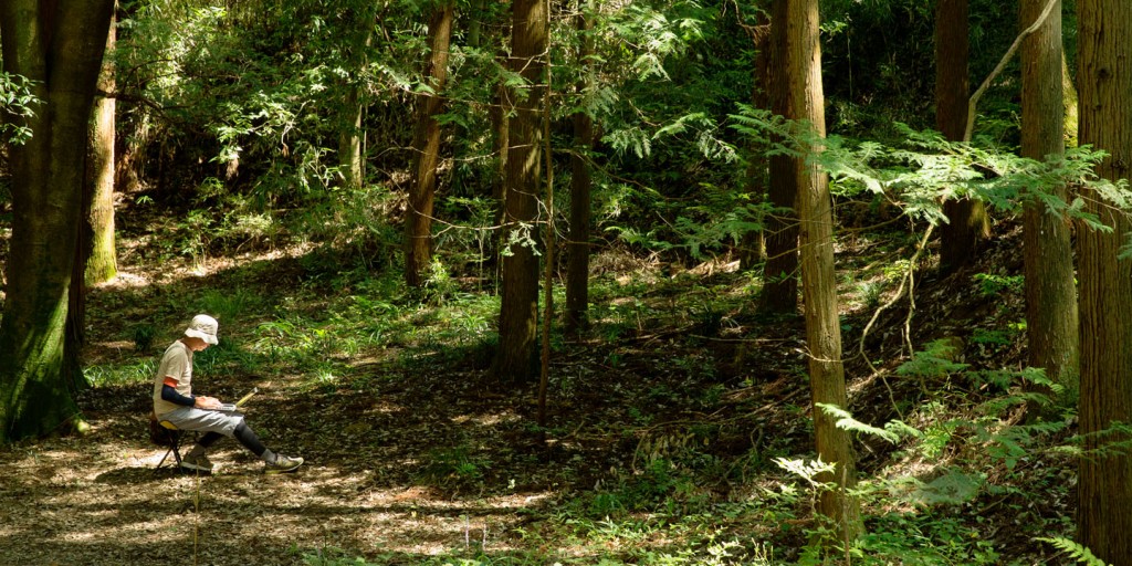 NORA ITフォレストイメージ