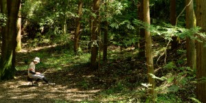 NORA ITフォレストイメージ