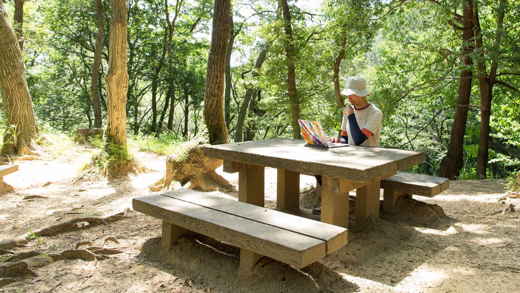 NORAITスカイプ向きイメージ