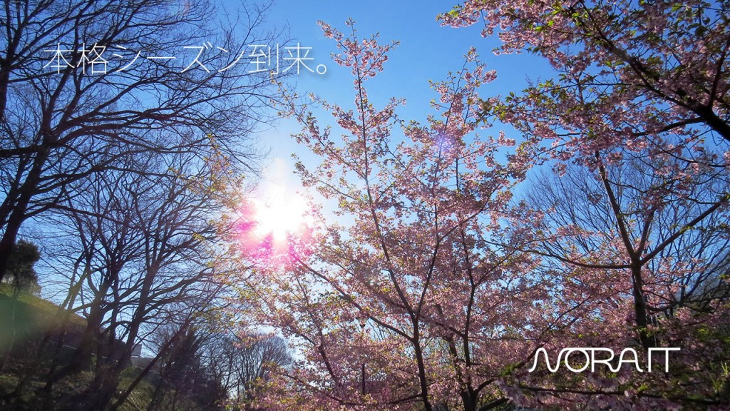 NORA ITスプリング到来2014