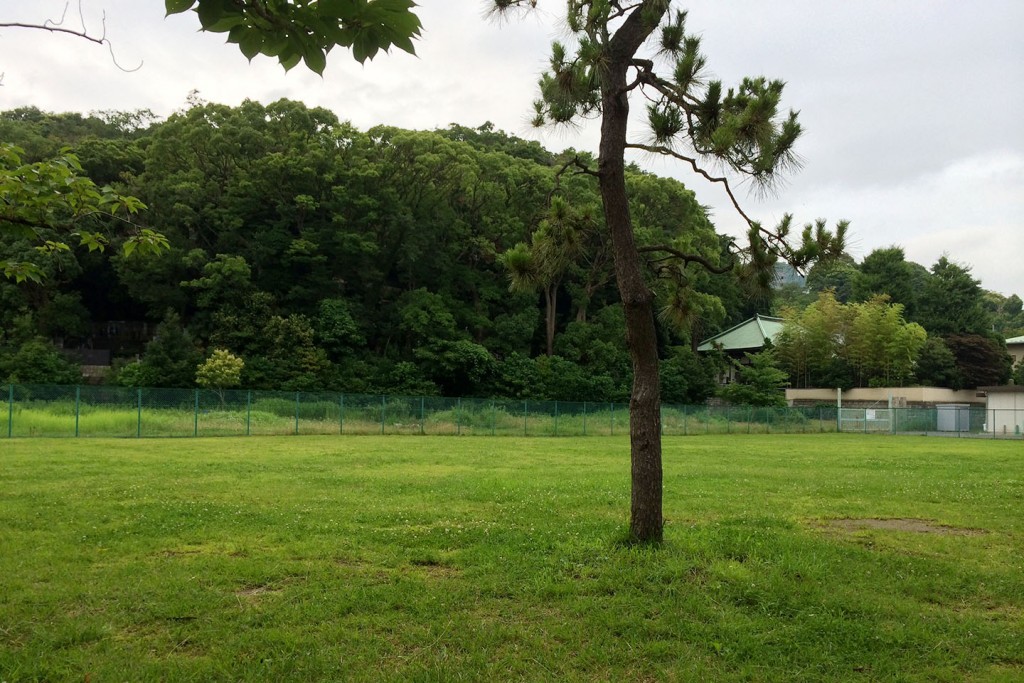 イコット広場緑