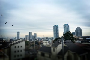 港を一望できる絶景