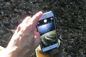 iPhone逆さ撮り実例1